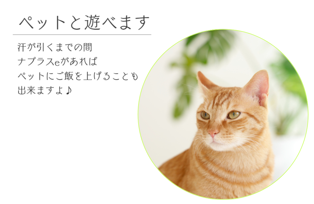 生理日のお風呂上がり対策。経血問題を解決するナプキン補助商品。生理の女性の悩み　ストレス　不安　お風呂上りにポタポタ垂れでバスマットやタオル　足を汚さない　下着に付けるの　デリケートゾーンに挟む　ナプラスeを付けたままショーツをはく　フェムテック　フェムケア　産後生理　生理日あるある　昼用　夜用　教えて生理の事　お股に挟む　災害時の生理　自衛隊のお風呂　補助商品　生理用品　どのナプキンも補助　お風呂上り３分間問題